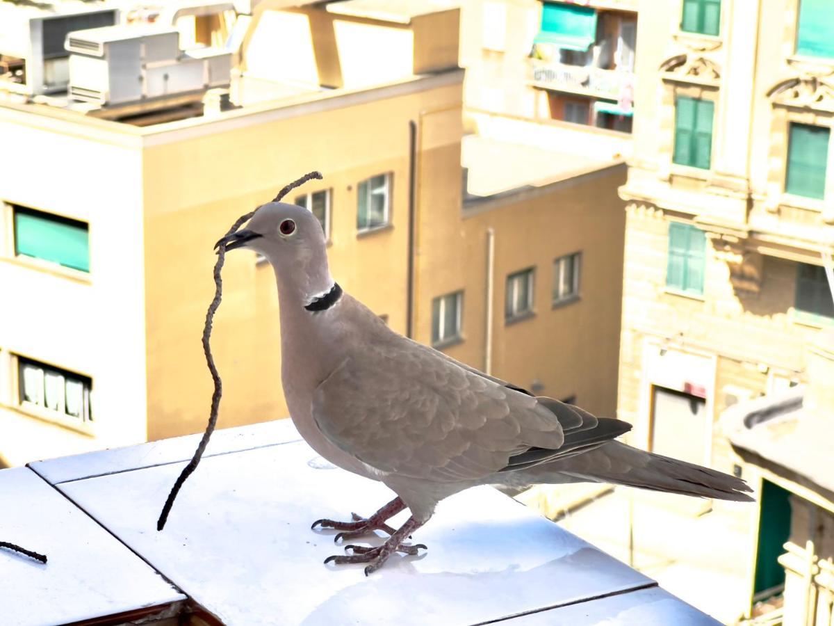 Home Sweet Home Nel Cuore Di Genova Exteriér fotografie